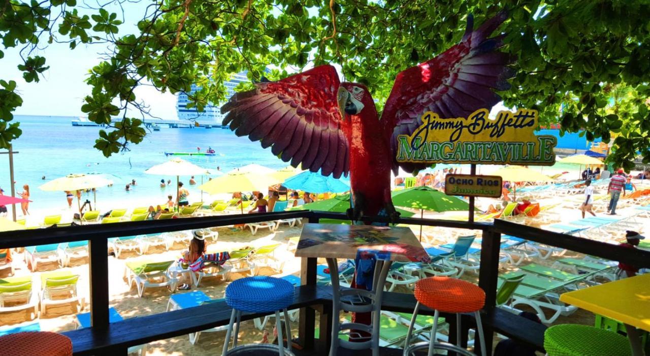 Hummingbird Retreat - Luxury Oceanview Apt, 7-Minute Walk To Beach Ocho Rios Exteriör bild